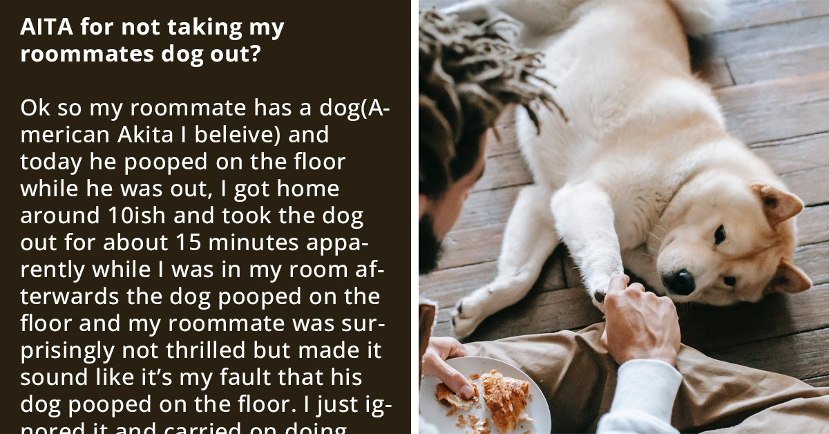 Roommate's Dog Poops On The Floor, So He Blames Redditor For Not Letting Him Out