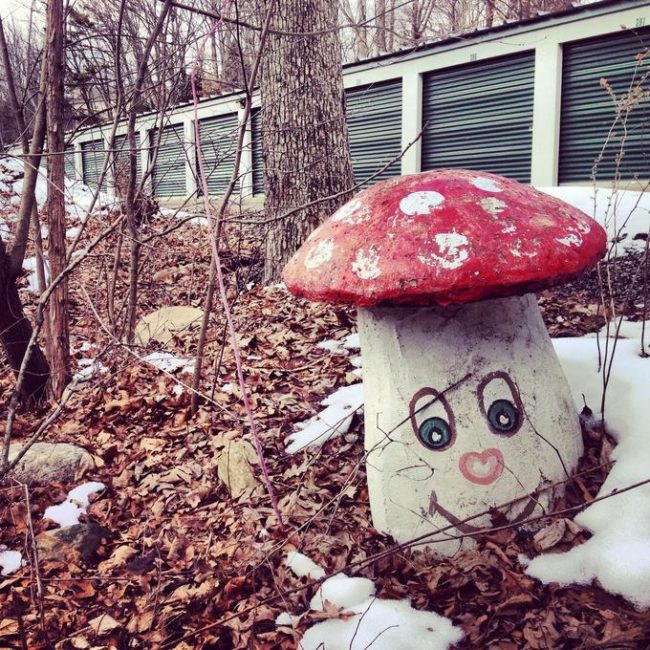 Motivated by his mother's storytelling of ancient fairy tales to him and his siblings, Woehle was determined to bring those stories to life for New Jersey's children.