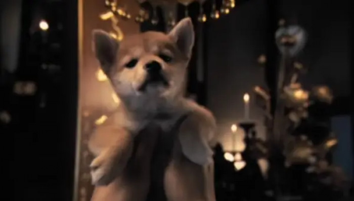 20. Hachi: A Dog's Tale