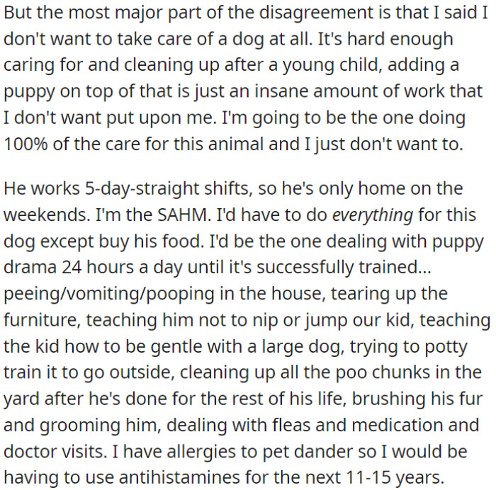 The main disagreement is that OP doesn't want to take care of a dog due to the overwhelming workload, especially alongside looking after a child.