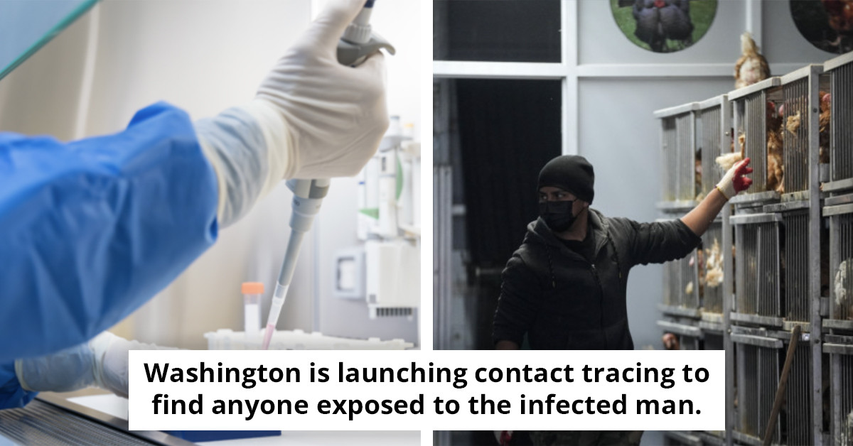 Newly Found Virus Uncovered in Man Stricken by Severe Illness