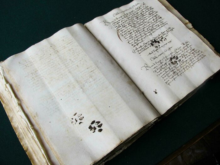 "Inky Paws Found On A 15th Century Manuscript"