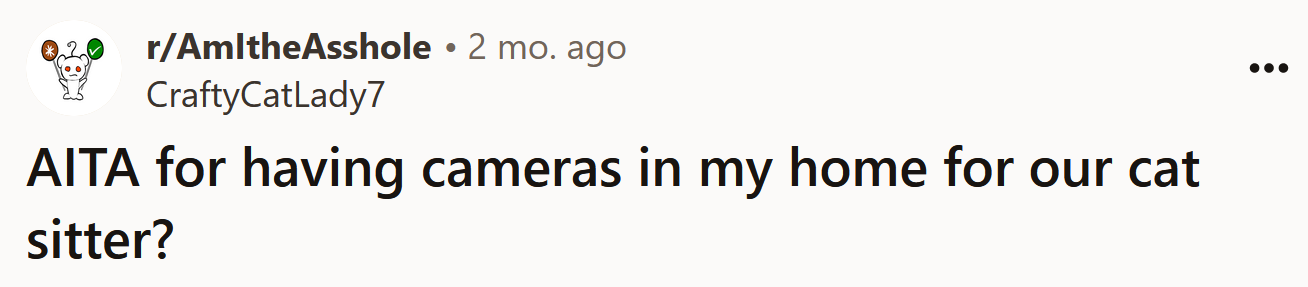 The Redditor asked if she's an a**hole for having cameras in her home to keep an eye on her cat-sitter.