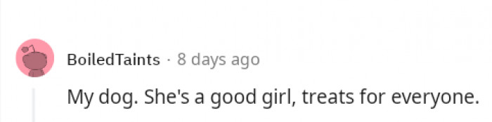 If a Cat could be a Mayor, then a dog might have a fighting chance for President