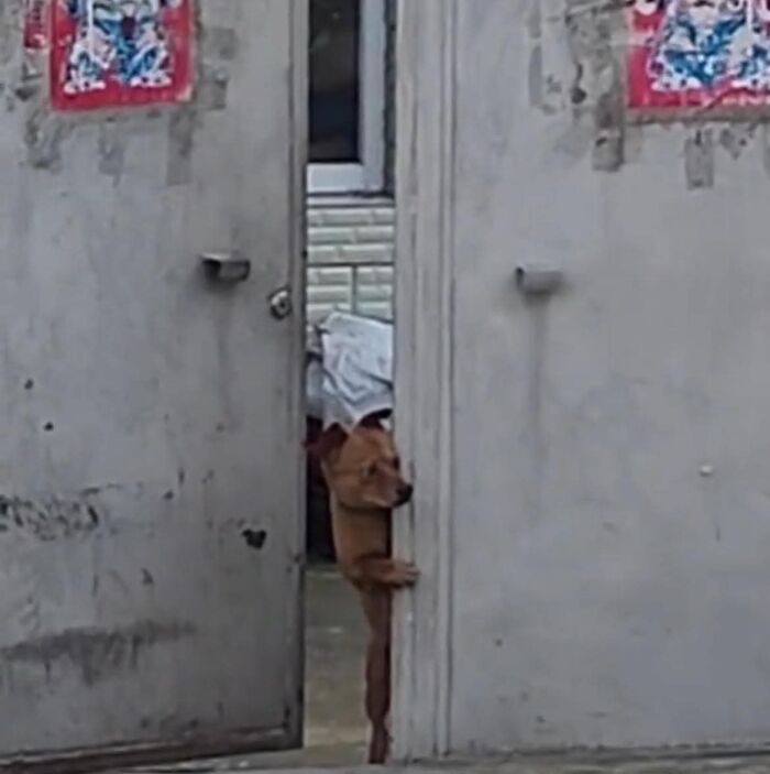 19. Just checking if the coast is clear