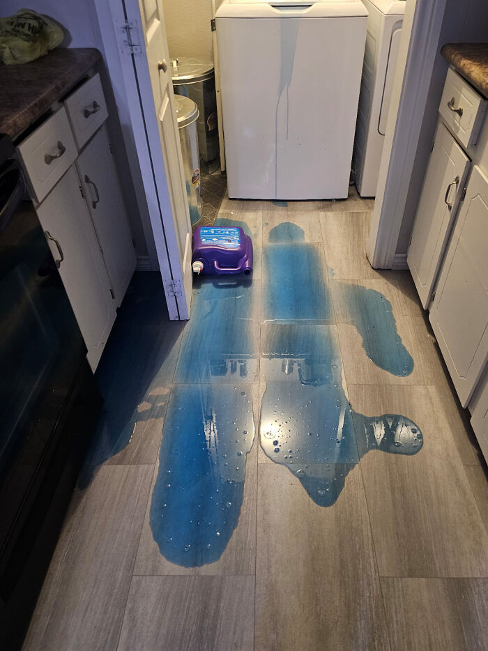 "I Was About To Go To Bed."