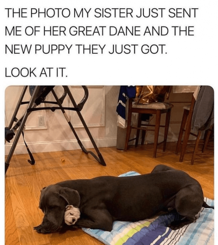 26. New Achievement Activated: Cuddle Puddle