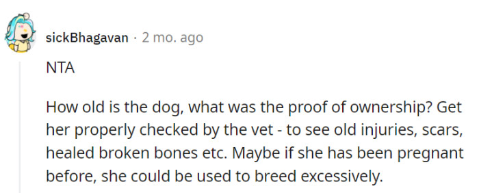 Smart move! A vet check can reveal a lot about Luna's past, ensuring she gets the best care in her new, loving home.