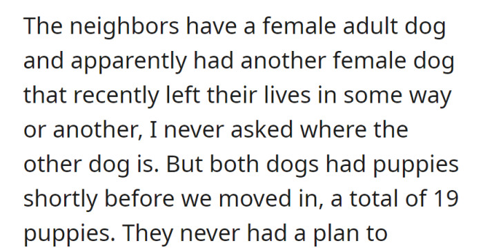 Neighbors had two female dogs, one recently departed. Between them, they had a total of 19 puppies.