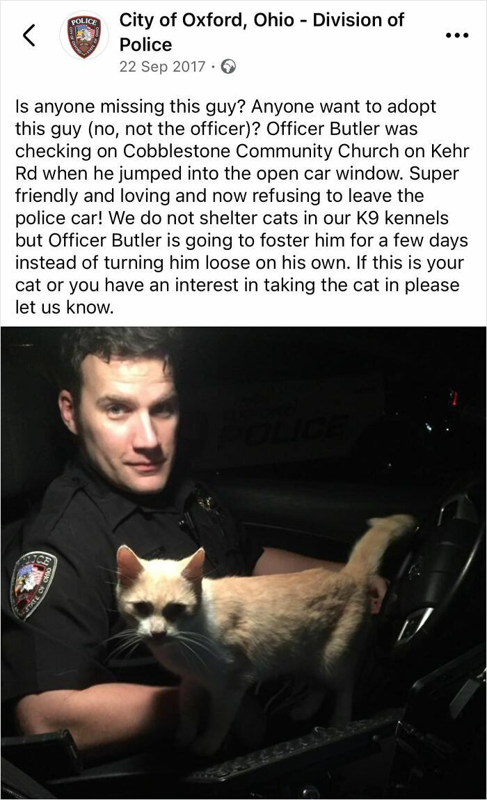 "Sounds To Me Like That Officer Was Just Chosen By A Cat"