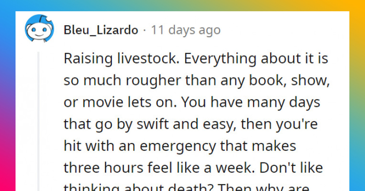 People Dish On Jobs They Feel Are Too Romanticized In Movies But Actually Kind Of Suck In The Real World