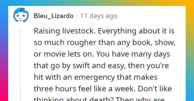 People Dish On Jobs They Feel Are Too Romanticized In Movies But Actually Kind Of Suck In The Real World