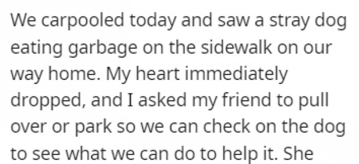 They were driving together one day, and OP noticed that there was a stray dog eating trash on the sidewalk