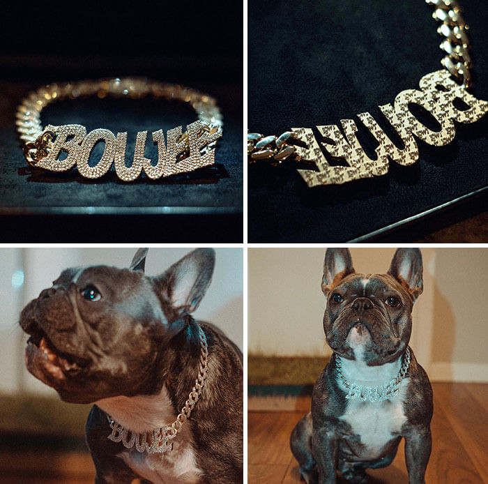 15. Juju Smith-Schuster Bought His Dog Boujee a Full Diamond Necklace