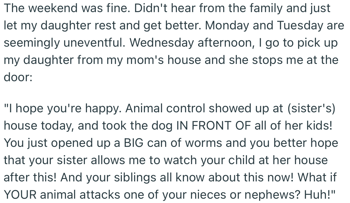 Shortly after, animal control stormed OP’s sister’s house and took the dog. This caused their mom to blame her for what had happened