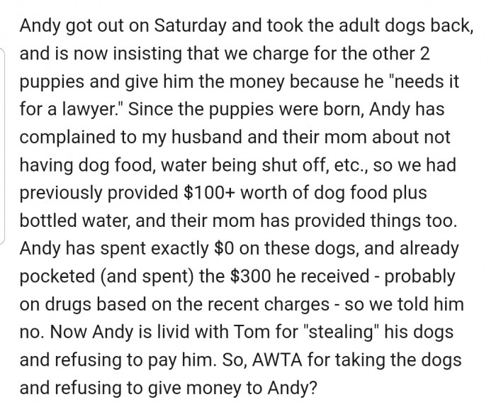 OP wants to know if she and her husband are wrong for rehoming the dogs and not collecting money from the new owners