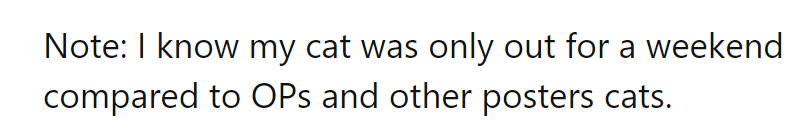 Cat's weekend adventure: short, sweet, and still worthy of a sequel!