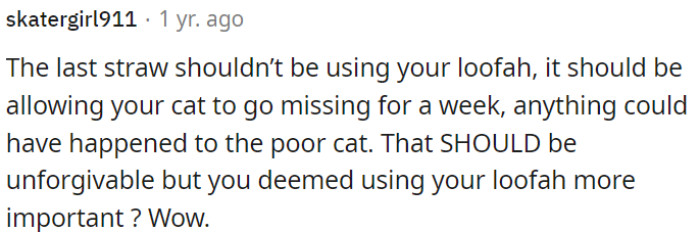 Prioritizing a loofah over a pet's well-being seems remarkably misplaced.