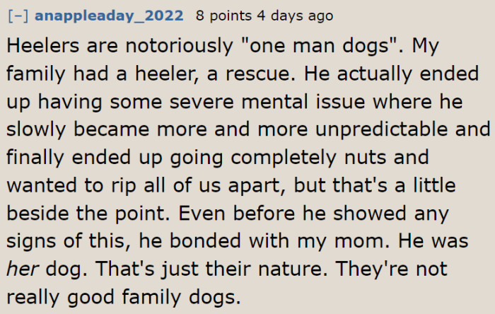 Some Redditors shared their experience about having a Heeler.