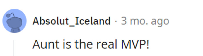Absolutely, Aunt deserves the MVP title for granting her a cottage-sized escape from the family drama.