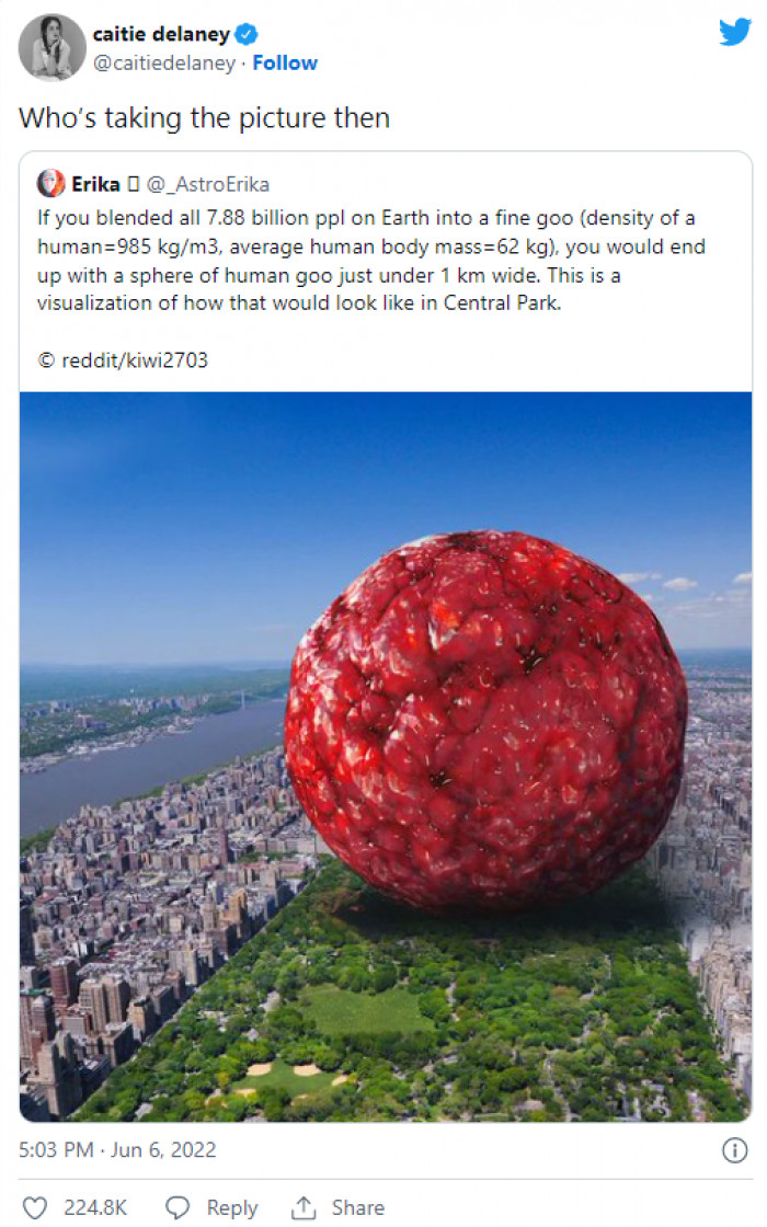 This comment is the one that made me laugh the most. Probably Erika, as she admires her creation.