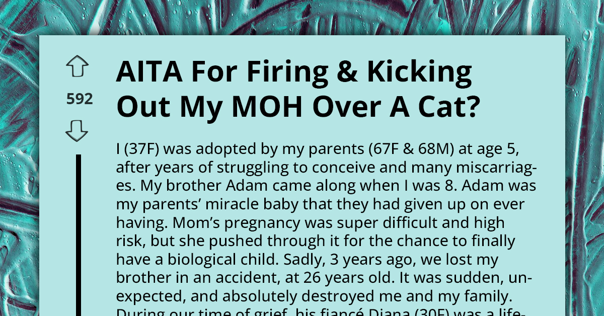 Bride Ousts Maid Of Honor And Evicts Her For Secretly Removing Cat Out Of Her Home Just Because Of Her Allergy