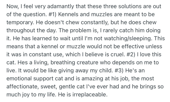 OP is determined not to take any of his family’s solutions. He loves the cat too much to muzzle it or give it away, despite the risk it exposes him to