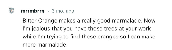 “Bitter orange makes a really good marmalade. Now I'm jealous that you have those trees at your work.”