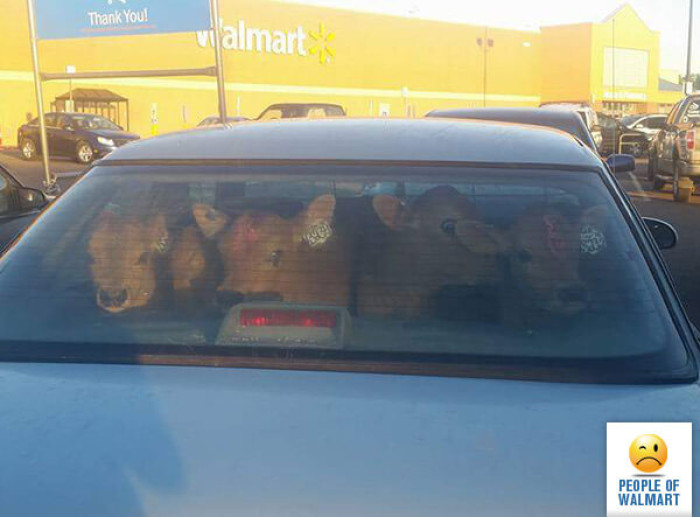 1. Just mooooove out of the way