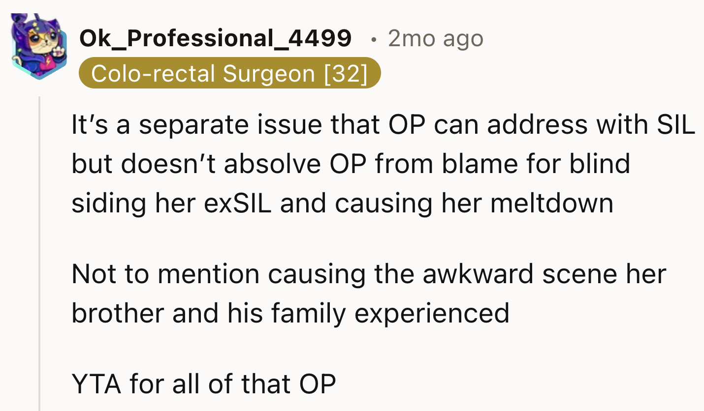 OP Shouldn't Be Blamed for Her Ex-SIL's Meltdown