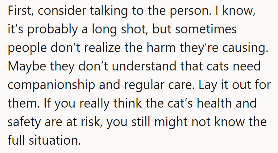 First, try talking to the person; they might not realize cats need care. Lay it out!