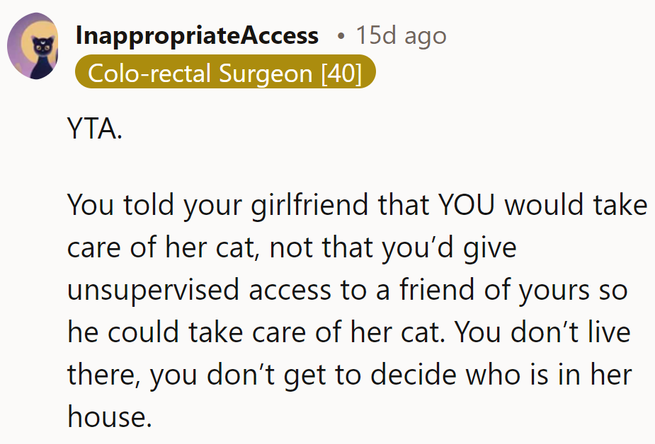 Cat-sitting gone rogue: Friend edition!