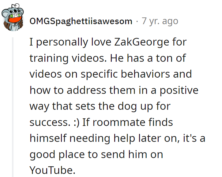 ZakGeorge's vids: Doggy wisdom at your fingertips! Roommate, YouTube awaits a 'paws'itive training journey...