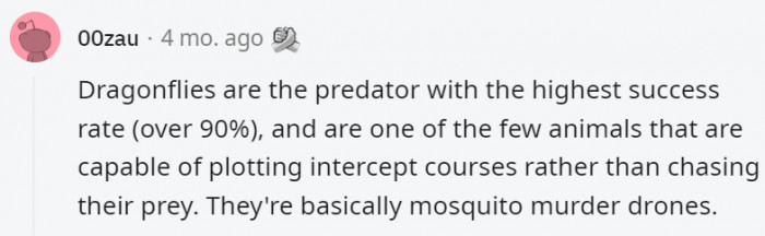 24. Dragonflies are basically adorable murder drones