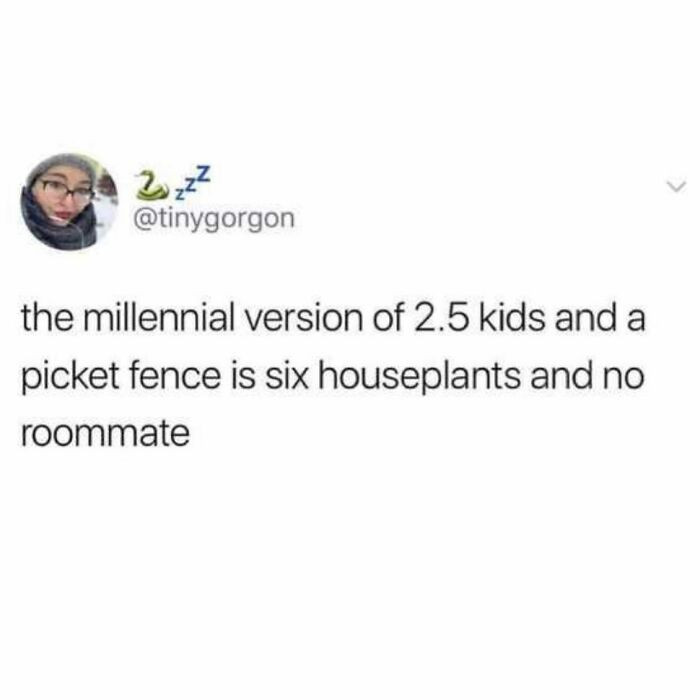 7. The Millennial Version of 2.5 Kids