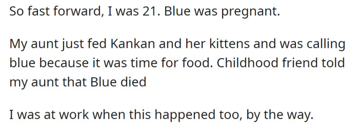 One day, while the OP's aunt was calling the cat to feed her, the neighbor told her she died: