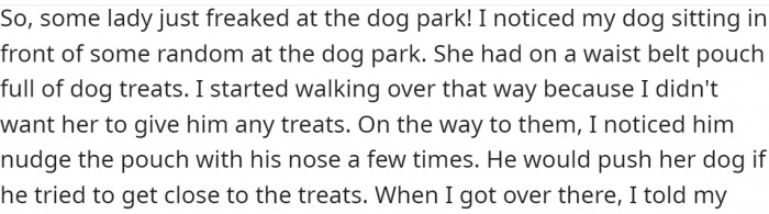 OP was at a dog park and noticed their dog sitting in front of an unknown lady. She was giving it treats. OP's dog exhibited some aggressive behavior—it pushed the lady's dog whenever it tried to get near the treat bag. So, OP rushed over.