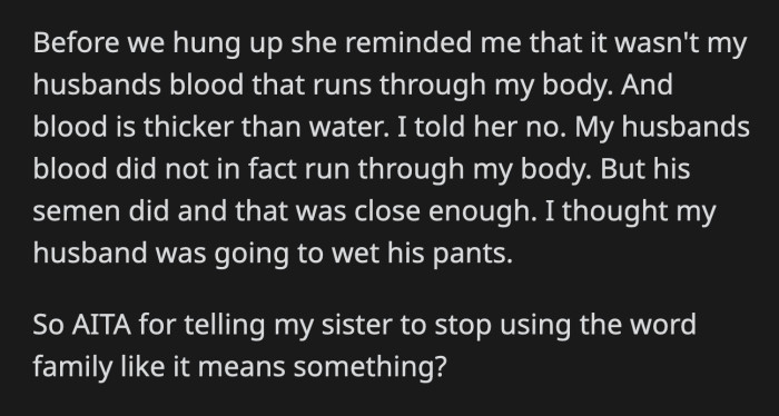 His sister reminded him of whose blood runs in his veins. OP said his husband's blood may not be in his veins, but something else does. Was what OP said too harsh?