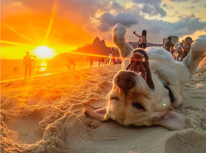 3. I've heard that this is the most beautiful image you'll see today.