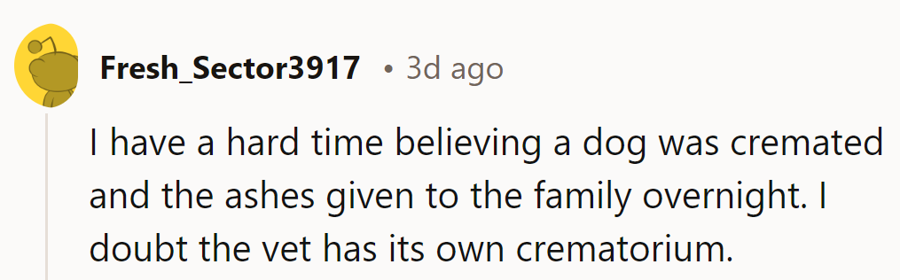 Overnight cremation and ashes? Sounds like one efficient vet. Did they sprinkle magic dust too?