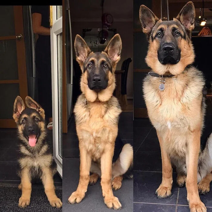 "They Grow Up So Fast!"