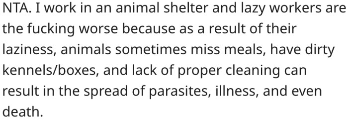 Lazy workers are sometimes responsible for animals falling sick and dying at animal shelters.