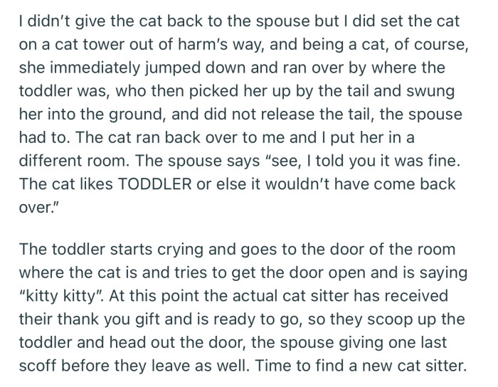 The pair watched as their toddler kept abusing the cat again and again. OP was fed up and locked the cat in another room