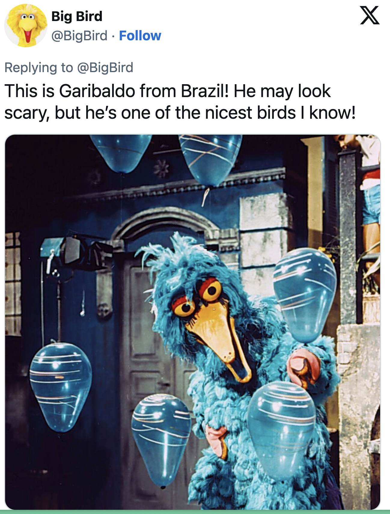 Garibaldo from Brazil