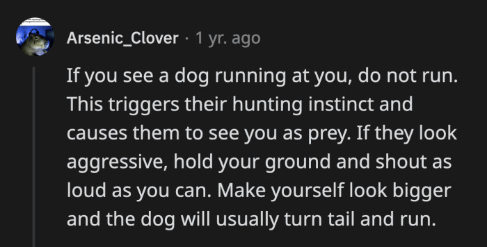 13. Always bring a walking stick when out with your pets