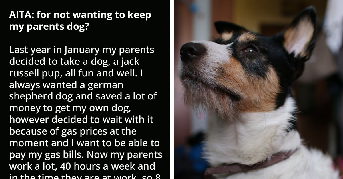 Redditor Doesn't Want To Keep Their Parent's Dog, Even Though That Means Sending It To A Shelter