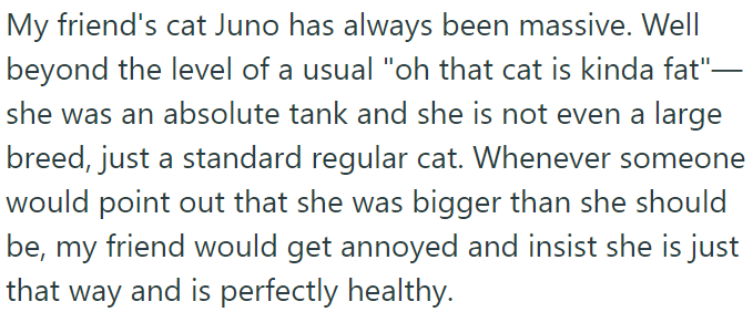 OP's friend's cat Juno is unusually large; despite comments about her size, OP's friend insists she's perfectly healthy.