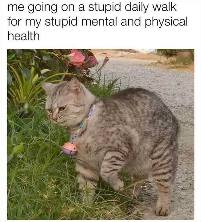 5. Reluctant fitness