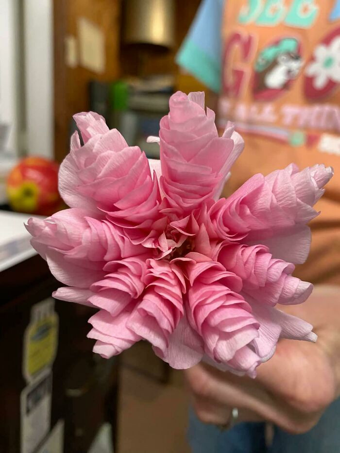 "Local Florist Grew A Mutant Ranunculus"