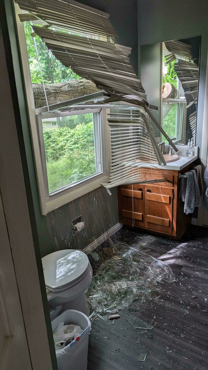 "Boyfriend Was Cutting Down A Tree Limb."